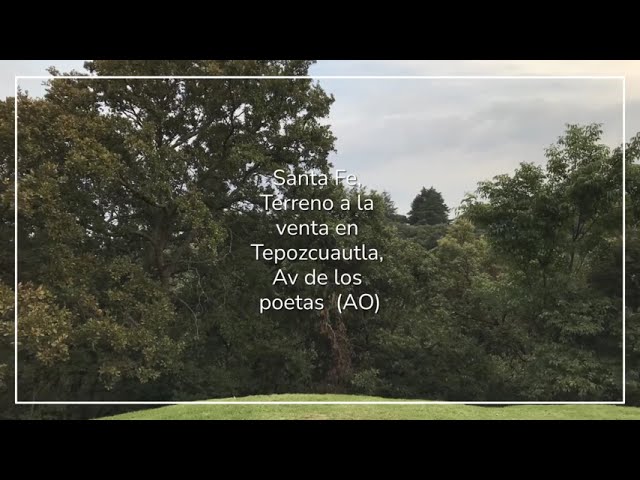 av de los poetas 100