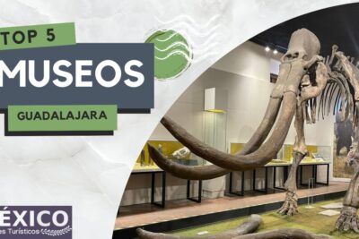 museos en guadalajara