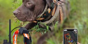 Qué características priorizar en collares GPS para perros de caza