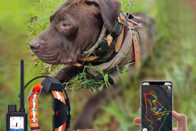 Qué características priorizar en collares GPS para perros de caza