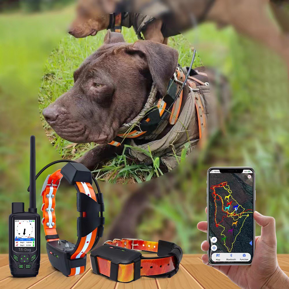 Qué características priorizar en collares GPS para perros de caza