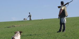 Temporada de caza en Madrid: guía completa para cazadores