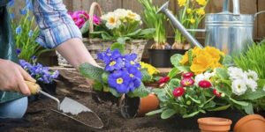 Consejos para diseñar pasto residencial y paisajismo moderno funcional